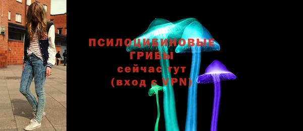 стафф Алексин