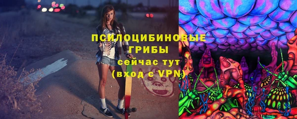 стафф Алексин