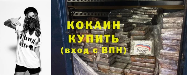 стафф Алексин