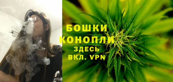 бошки Аркадак
