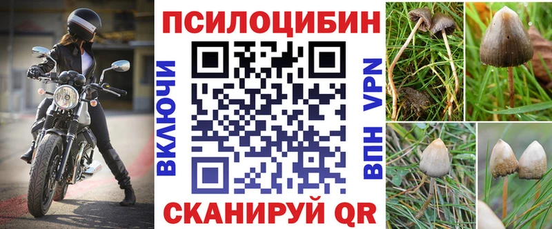 Галлюциногенные грибы Psilocybe Лагань